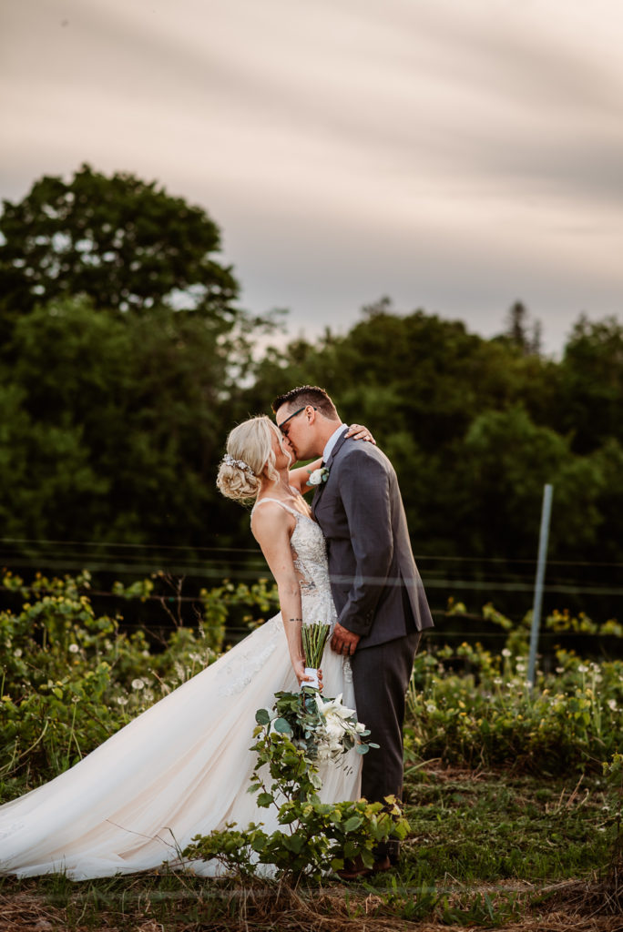 A bride and groom kissing in a vineyard after their wedding